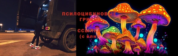 Альфа ПВП Аркадак