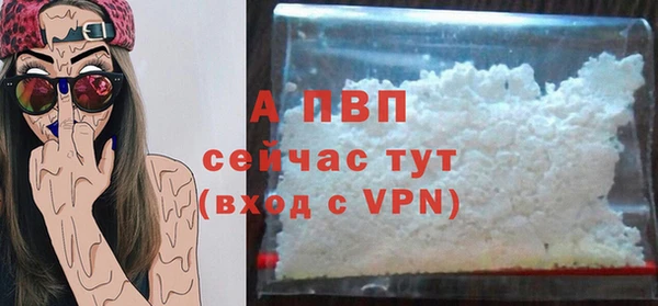 стафф Арсеньев