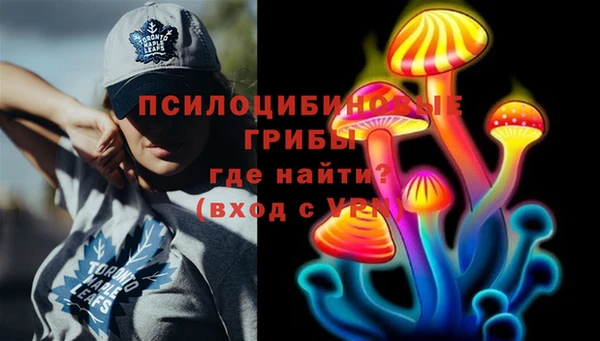 стафф Арсеньев