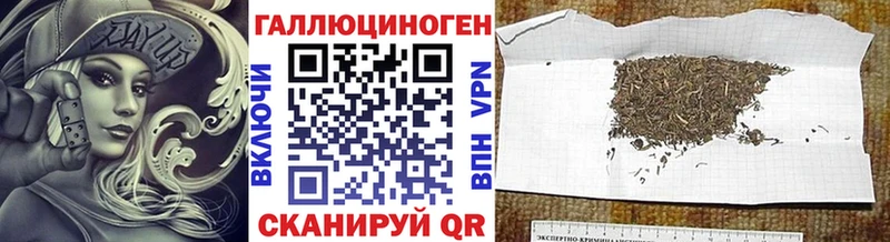 Галлюциногенные грибы Cubensis  Майкоп 