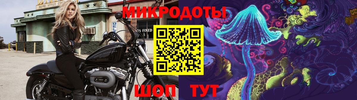 Галлюциногенные грибы прущие грибы  Вход с VPN  Майкоп 